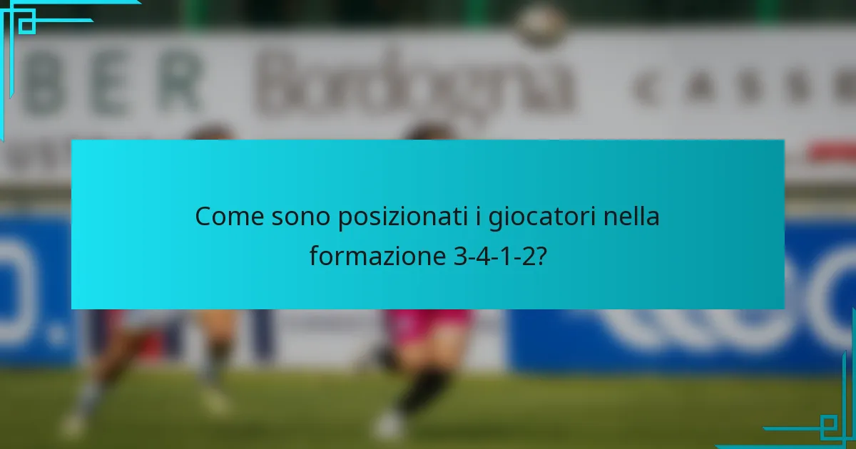 Come sono posizionati i giocatori nella formazione 3-4-1-2?