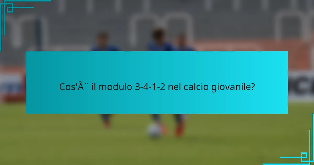 Cos'è il modulo 3-4-1-2 nel calcio giovanile?